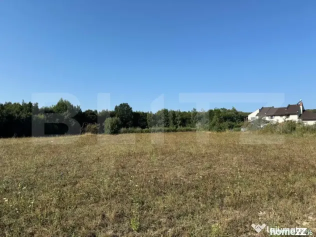 Teren intravilan, 3000mp, com. Darmanesti
