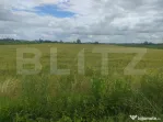 Teren extravilan, 6600 mp, Radauti