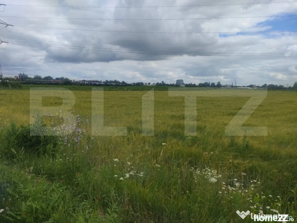 Teren extravilan, 6600 mp, Radauti