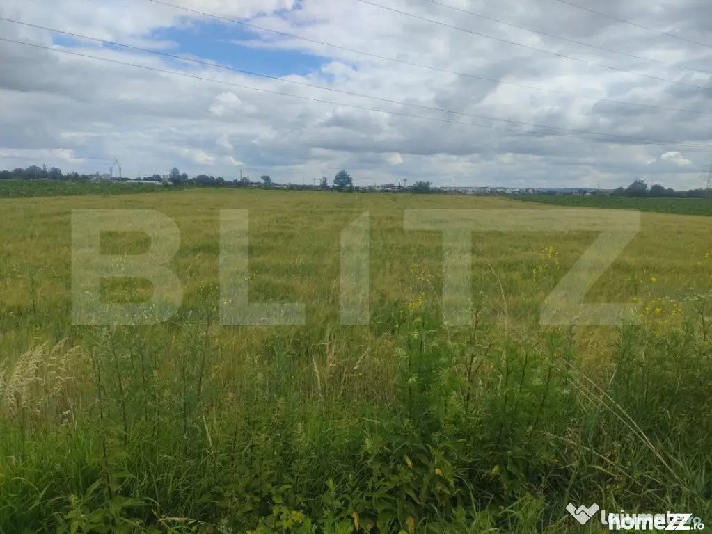 Teren extravilan, 6600 mp, Radauti