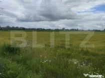 Teren extravilan, 6600 mp, Radauti