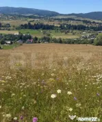 Teren extravilan, 5 hectare, Șaru Dornei