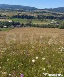 Teren extravilan, 5 hectare, Șaru Dornei