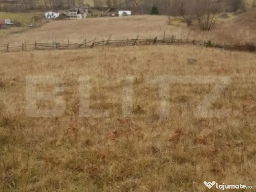 Teren Șaru Dornei 5 hectare