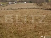 Teren Șaru Dornei 5 hectare