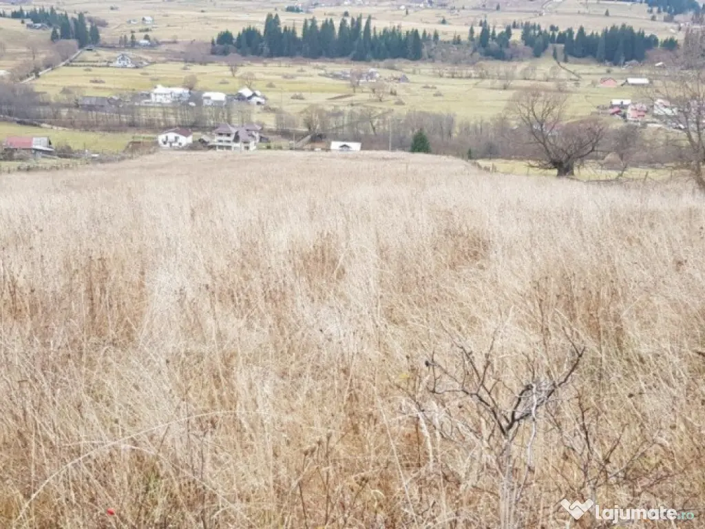 Teren Șaru Dornei 5 hectare