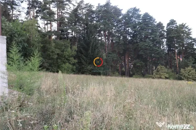 Teren intravilan cu PUZ si PUD 3 loturi