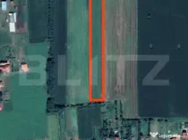 Teren cu nuci, 5.400mp, zona - Decebal, Comuna Vetiș