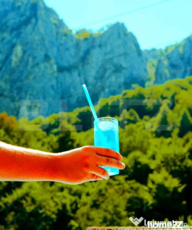 Casă de vacanță în inima naturii – Râmeț, Valea Măn - Valea Manastirii (Alba)