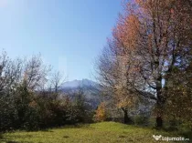 Teren 2500 mp, la strada, Ceahlau,, locatie perfecta