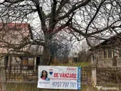 Teren 1,389mp Carligei / Strada principala 