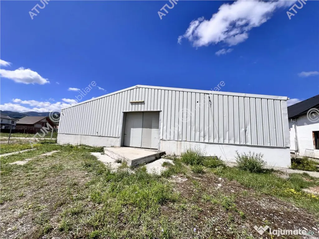 Hala de 918 mp utili si teren de 2400 mp cu acces de tir in