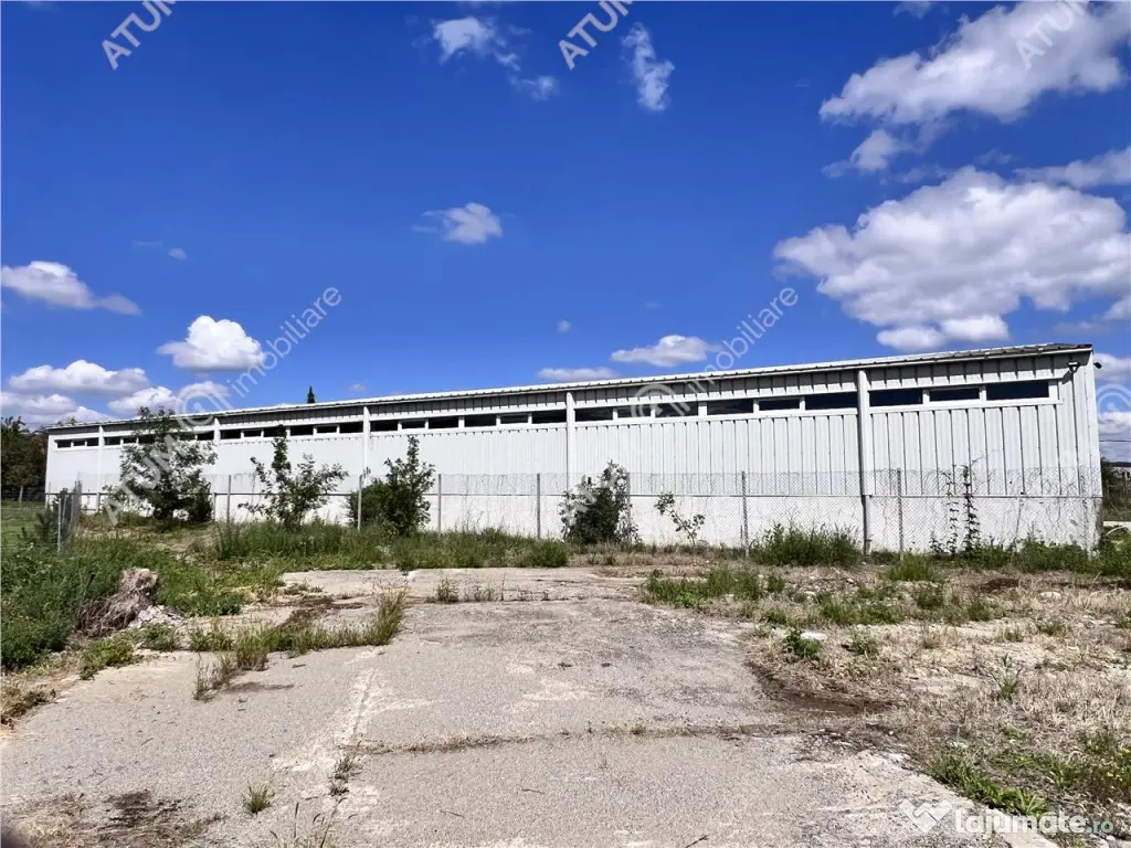 Hala de 918 mp utili si teren de 2400 mp cu acces de tir in