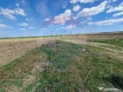 TEREN IEFTIN / 5,500mp Craiova / Izvorul Rece/ 8 euro/mp 