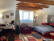 Vila pe Moara de Vant 