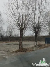 Teren investitie Ploiesti 