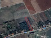 Teren de vanzare in Rediu! 2600 MP! Exclusivitate 