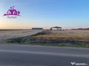 Parcele de teren industrial pentru diferite activitati ec... 