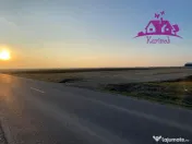 Parcele de teren industrial pentru diferite activitati ec... 