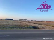 Parcele de teren industrial pentru diferite activitati ec... 