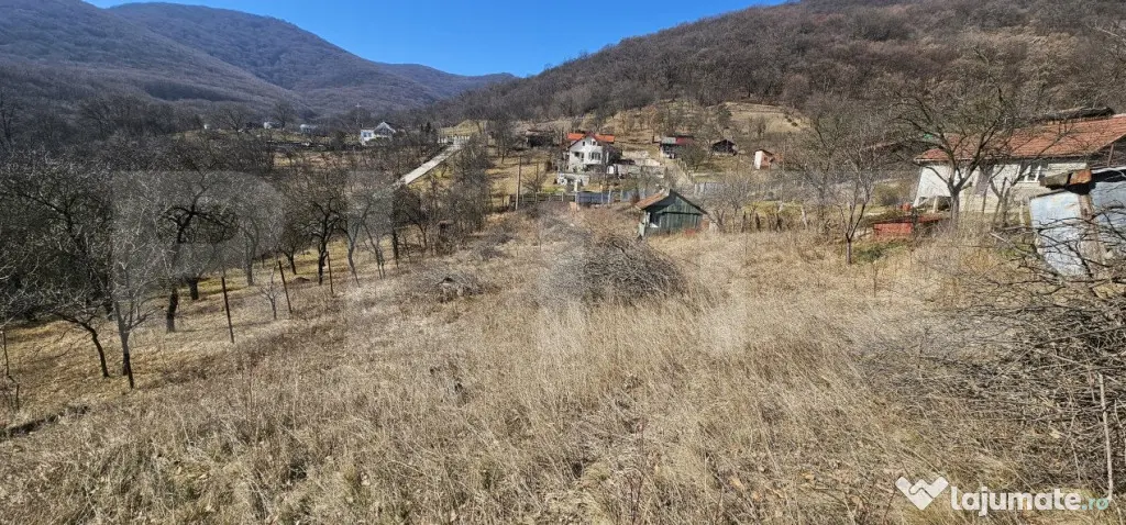 Teren intravilan de vanzare, 1550 mp, cu priveliște panoram