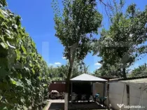 Vila individuala, 190 mp, 8 camere, garaj, curte, zona Lipov