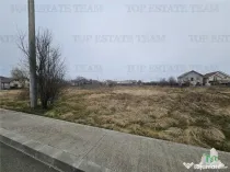 TEREN INTRAVILAN 1000 MP COSTINESTI