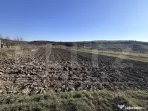 Teren intravilan 5.800 mp, potențial de parcelare-construc?