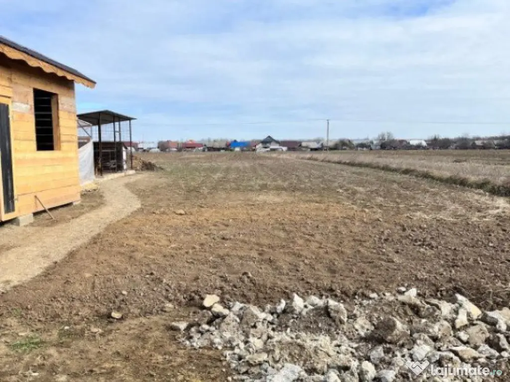 Casa la rosu, 300 mp, 31 ari de teren, Maneuti-Fratautii Vec