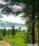 Teren Colibita, 1120 mp