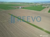 Teren de vânzare, Com. Nicolae Bălcescu, Jud. Bacău 