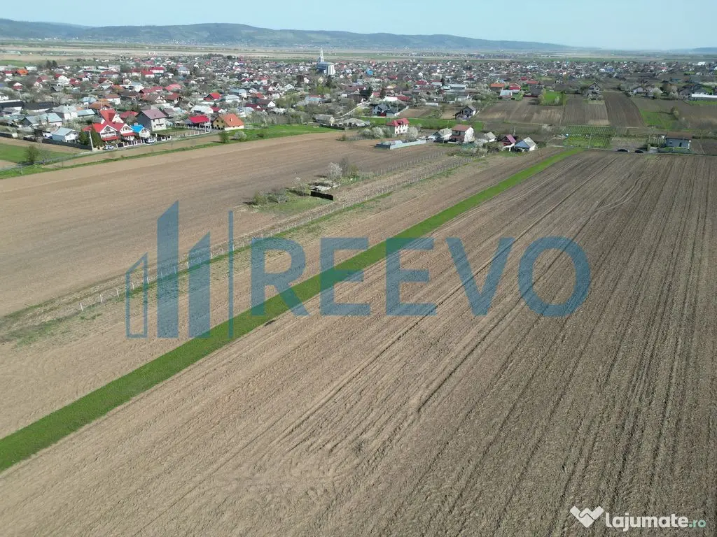 Teren de vânzare, Com. Nicolae Bălcescu, Jud. Bacău
