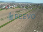 Teren de vânzare, Com. Nicolae Bălcescu, Jud. Bacău 