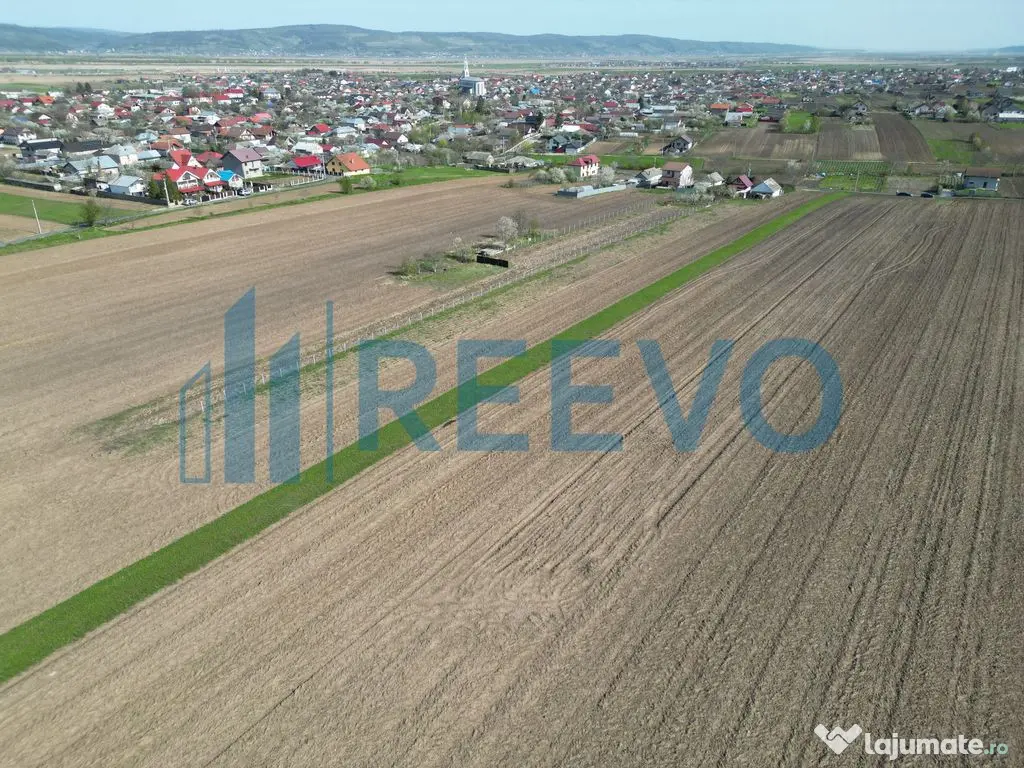 Teren de vânzare, Com. Nicolae Bălcescu, Jud. Bacău