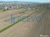 Teren de vânzare, Com. Nicolae Bălcescu, Jud. Bacău 