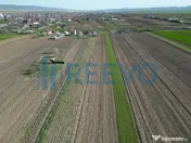 Teren de vânzare, Com. Nicolae Bălcescu, Jud. Bacău 