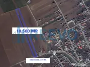 Teren de vânzare, Com. Nicolae Bălcescu, Jud. Bacău 