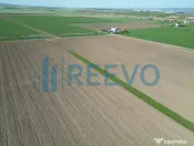 Teren de vânzare, Com. Nicolae Bălcescu, Jud. Bacău 