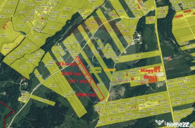 Teren 1,574mp Rasnov, Strada Valea Panicelului- varf de deal