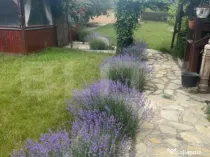 Casa individuala, cu 4 camere, 240 mp, 800 mp teren, zona Bu