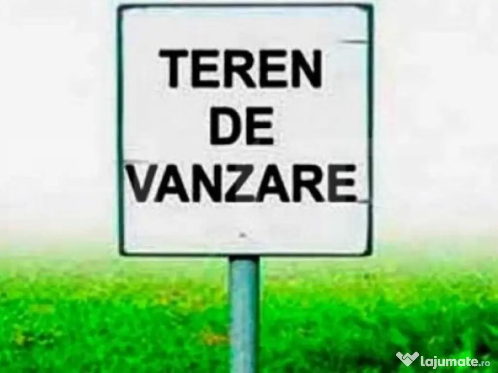 Teren extravilan ,20.000 mp Remetea Mare-Ianova