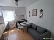 De inchiriat apartament 1 camere Buzaului 