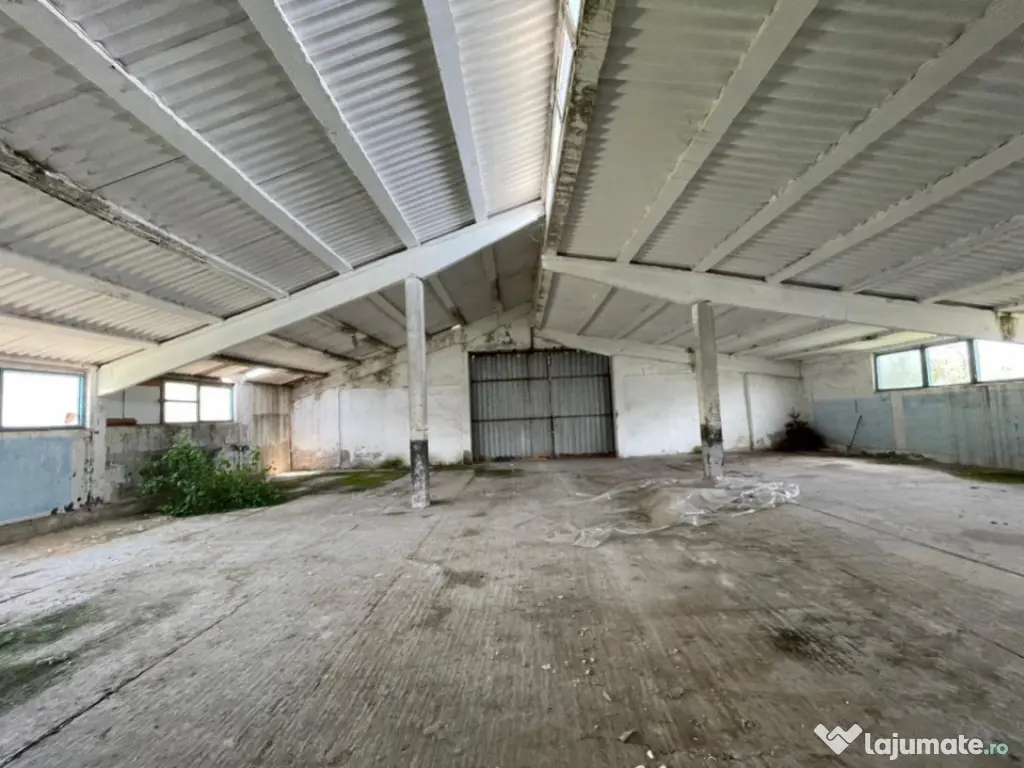 Hală situată în Ovidiu