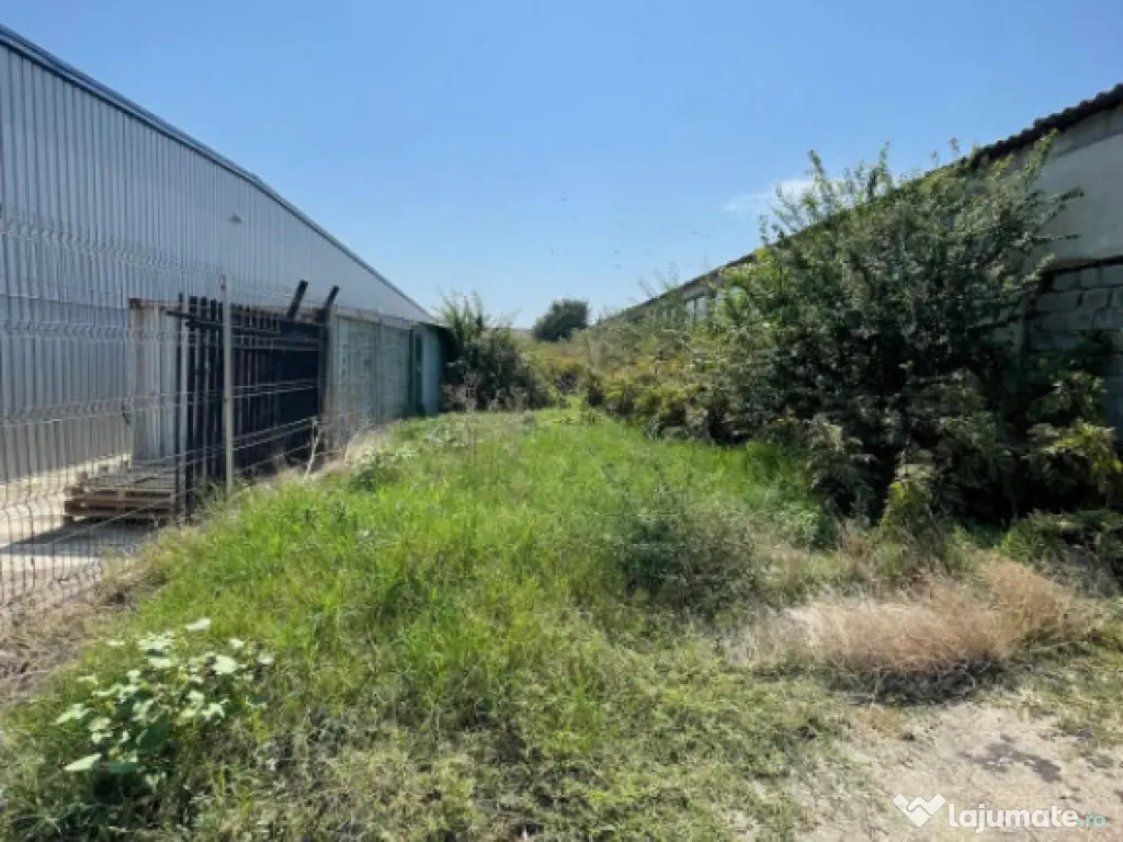 Hală situată în Ovidiu