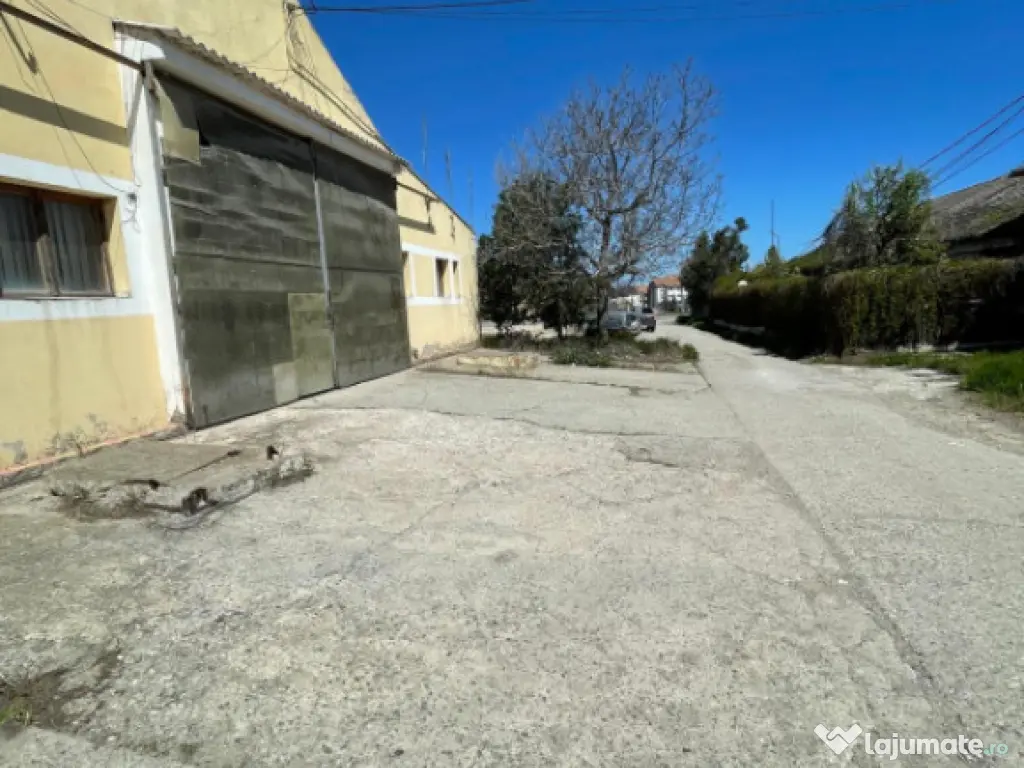 Hală situată în Ovidiu