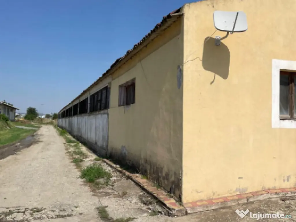 Hală situată în Ovidiu