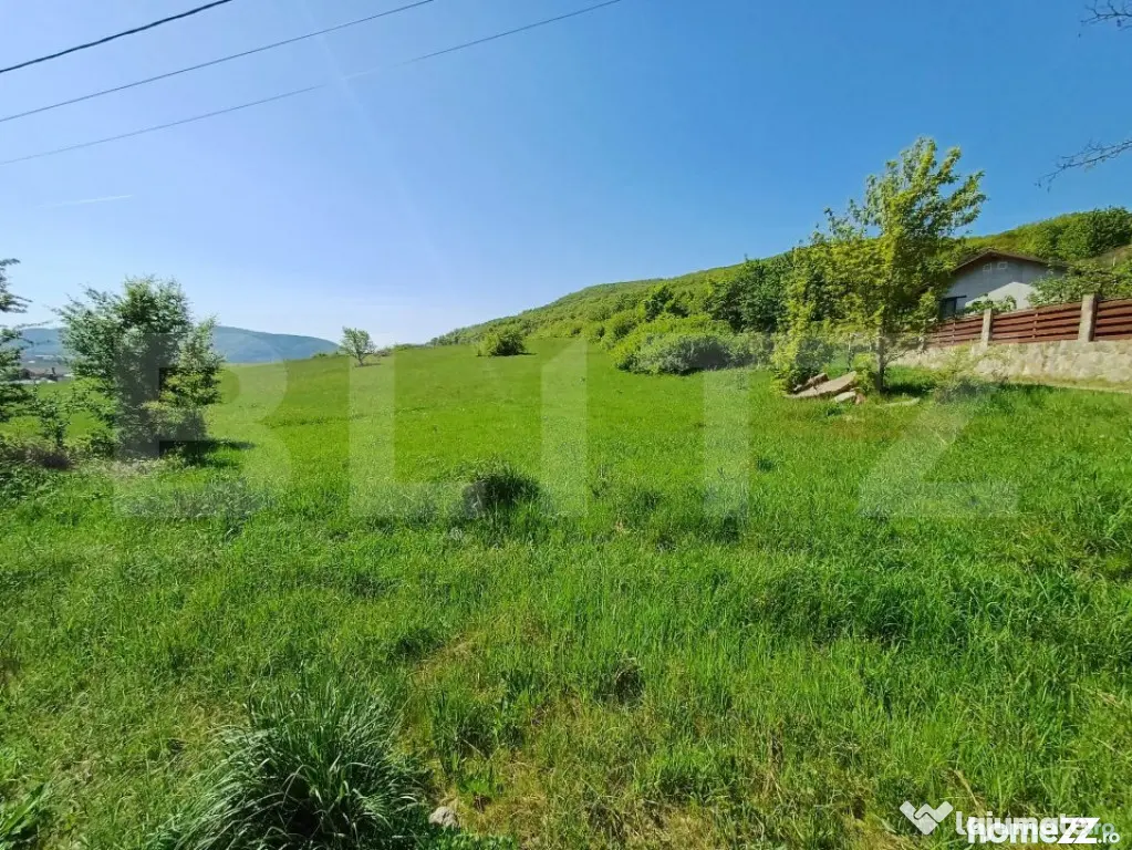 Teren intravilan de vanzare, 5000 mp, zona Viisoara, langa M - Bistrita (Bistrita-Nasaud)