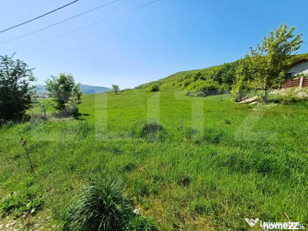 Teren intravilan de vanzare, 5000 mp, zona Viisoara, langa M - Bistrita (Bistrita-Nasaud)