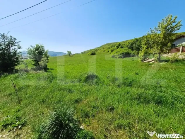 Teren intravilan de vanzare, 5000 mp, zona Viisoara, langa M - Bistrita (Bistrita-Nasaud)