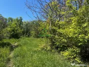 Teren intravilan/934 mp/Lenin Sud 